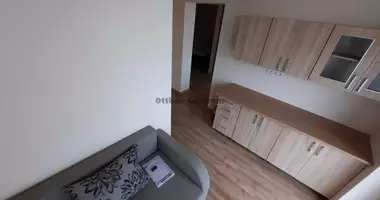 Квартира 30 комнат в Хайдусобосло, Венгрия