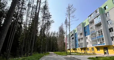 Apartment in Zelenogorsk, Russia