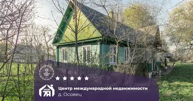House in Cyscinski sielski Saviet, Belarus