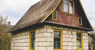 House in Piarezyrski sielski Saviet, Belarus