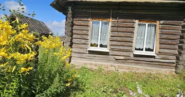 Haus in Viesialouski siel ski Saviet, Weißrussland