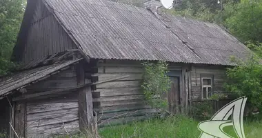 House in Makranski sielski Saviet, Belarus