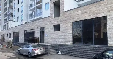 Commercial space for rent in Tbilisi, Krtsanisi en Tiflis, Georgia