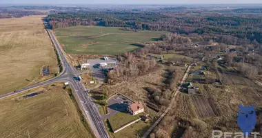 Dom wolnostojący w Jnkauski sielski Saviet, Białoruś