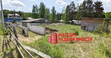 Plot of land in Padlabienski sielski Saviet, Belarus