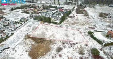 Grundstück in Ringaudai, Litauen