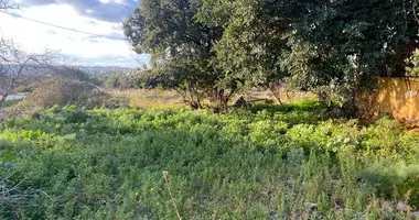 Plot of land in Chania Municipality, Greece