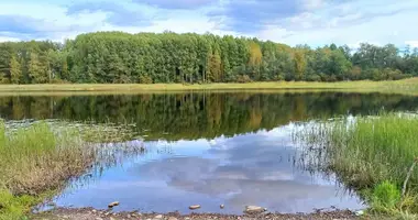 Dom 2 pokoi w Melnikovskoe selskoe poselenie, Rosja