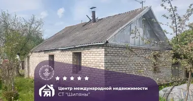House in Pliski sielski Saviet, Belarus
