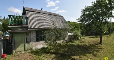 House in Zdanovicki sielski Saviet, Belarus