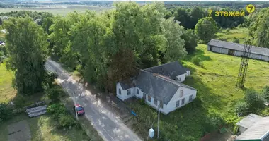 Casa en Niomanski siel ski Saviet, Bielorrusia