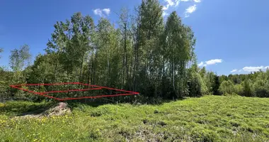 Maison dans Astrosycki siel ski Saviet, Biélorussie