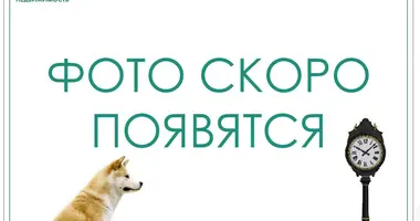 3 room apartment in Minsk, Belarus