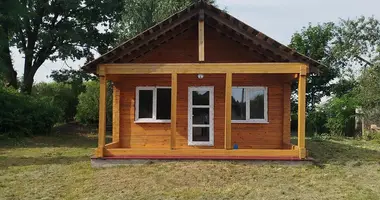 House in Zatitova Sloboda, Belarus