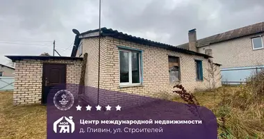 House in Hlivin, Belarus