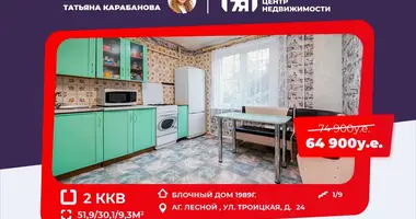 2 room apartment in Lyasny, Belarus