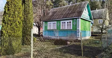 Дом в Михановичский сельский Совет, Беларусь