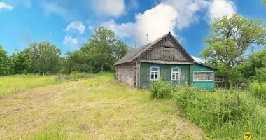 House in Stankauski sielski Saviet, Belarus