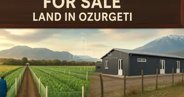 Plot of land in Ozurgeti, Georgia