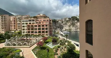 1 bedroom apartment in Monaco