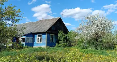 Apartment in Piatryskauski sielski Saviet, Belarus