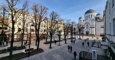 Gewerbefläche 340 m² in Kaunas, Litauen