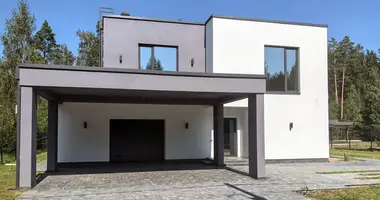 House in Piatryskauski sielski Saviet, Belarus