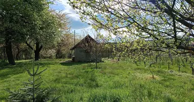 House in Zalacsany, Hungary