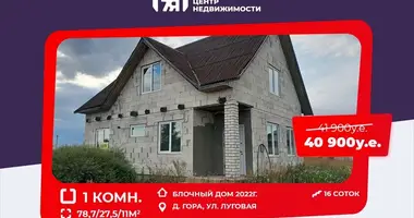 House in Hara, Belarus