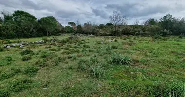 Terrain dans Monténégro