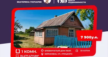 House in Viasiejski sielski Saviet, Belarus