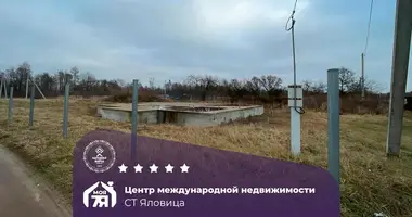 Działka w Zodzinski sielski Saviet, Białoruś