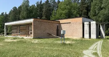 Dom w Kamianiucki sielski Saviet, Białoruś