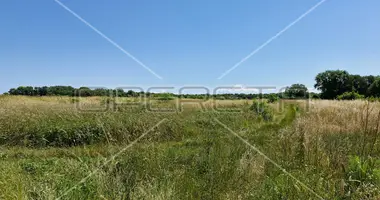 Plot of land in Sisan, Croatia