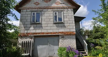 House in Fanipalski sielski Saviet, Belarus