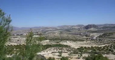 Участок земли в Мурсия, Испания