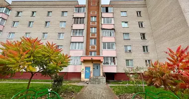 4 room apartment in Sluck, Belarus