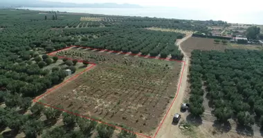 Plot of land in Agios Mamas, Greece