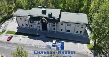 Propiedad comercial 1 724 m² en Minsk, Belarús