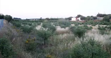 Plot of land in Skaleta, Greece