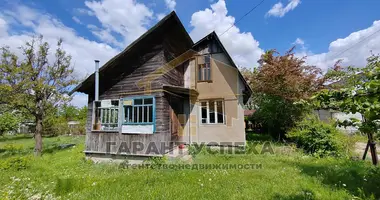House in Cerninski selski Savet, Belarus