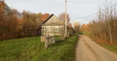 Casa en Naracki siel ski Saviet, Bielorrusia