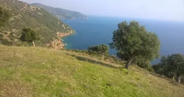 Terrain dans Paliouri, Grèce