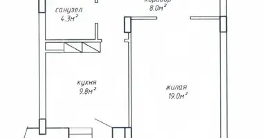 1 room apartment in Minsk, Belarus