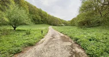 Wohnung in Gemeinde Alland, Österreich