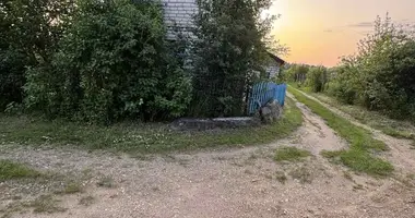 Dom w Krapivienski sielski Saviet, Białoruś