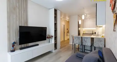 2 room apartment in Minsk, Belarus