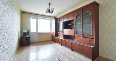 1 bedroom apartment in Minsk, Belarus