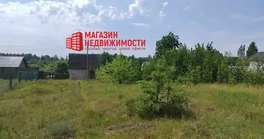 Участок земли в Сопоцкинский сельский Совет, Беларусь