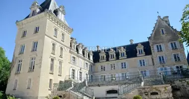 Замок 40 спален в Франция
